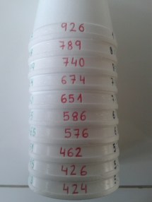 CÓMO ORDENAR NÚMEROS DE MAYOR A MENOR